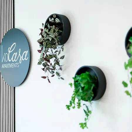 Kocasa-apartments, Penthouse, Panorama, Dachterrasse, Zwei Stellplaetze, Wifi, Waipu-tv, Billard Appartamento Karlsruhe